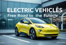 Elektrikli Araçlar: Geleceğin Yolu Electric Vehicles: The Road to the Future